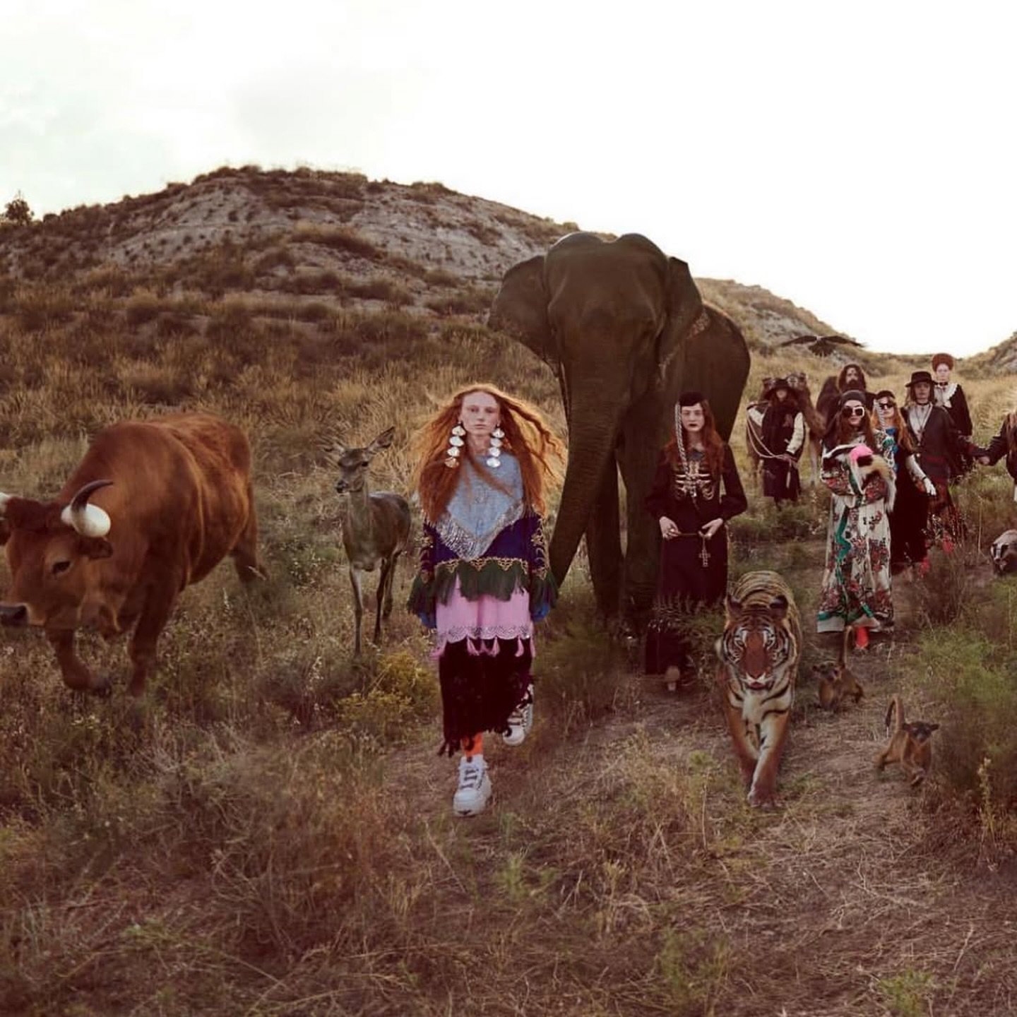 Just a reminder of what has been done&mdash;typical of Mercury retrograde.&rdquo; #Repost @mabamanagement 
・・・
ISABELLA &ldquo;Accompanying animals to the wooden ark in the #GucciCruise19 campaign&rdquo; Special collaboration with @@specialbeautiesof
