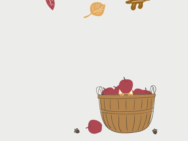 fallcat.gif