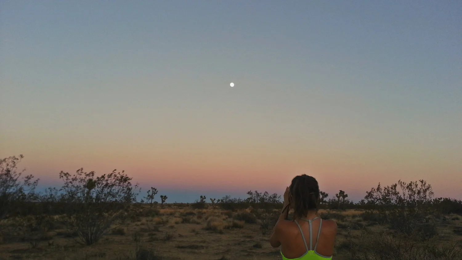 The sky turned a beautiful shade of blue and purple at sunset in the park.