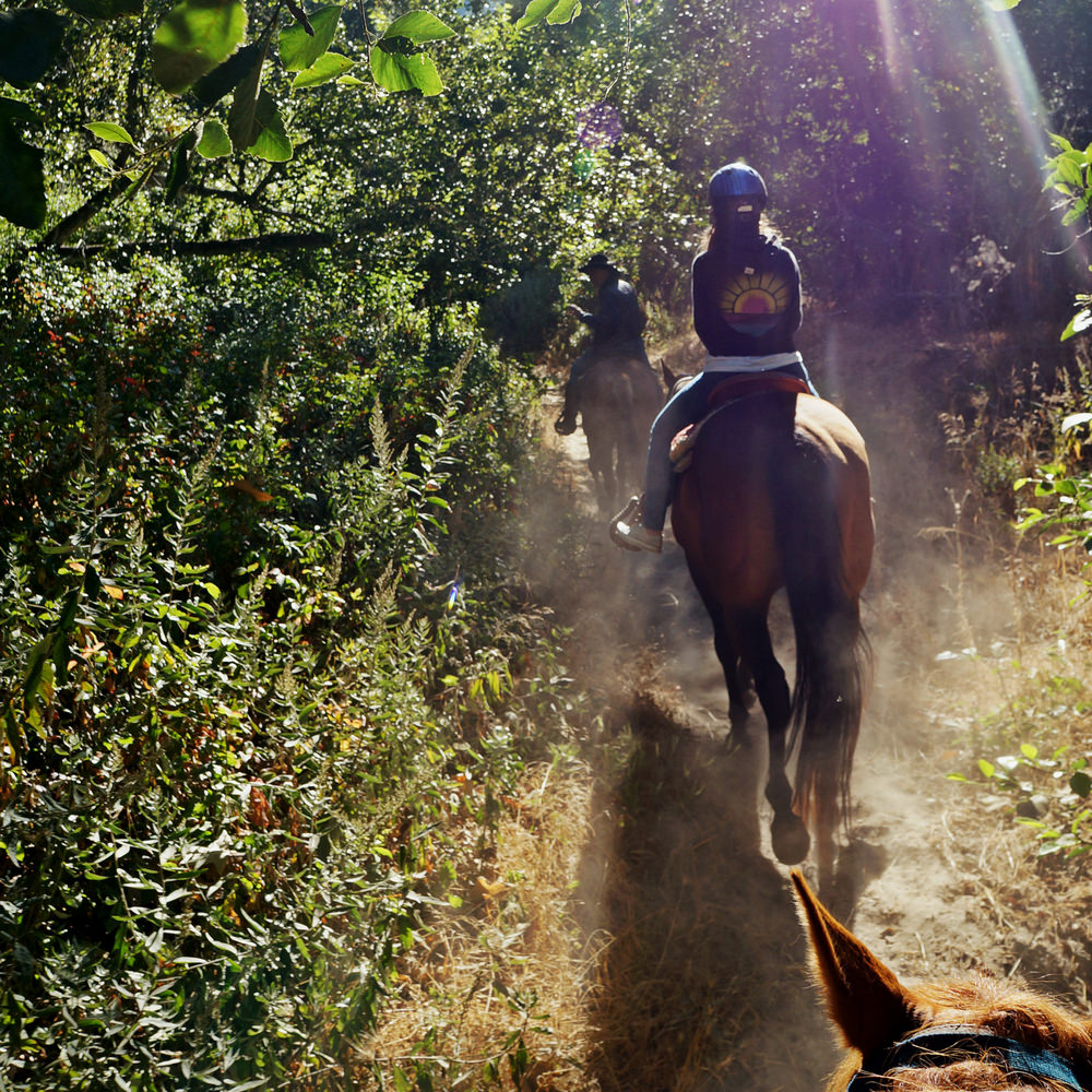  Big Sur is known for its horseback riding. 