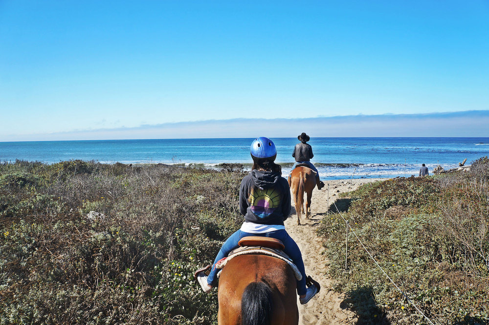  We went horseback riding early in the morning in Andrew Molera State Park where you can access the beach. &nbsp;It was so memorable. 