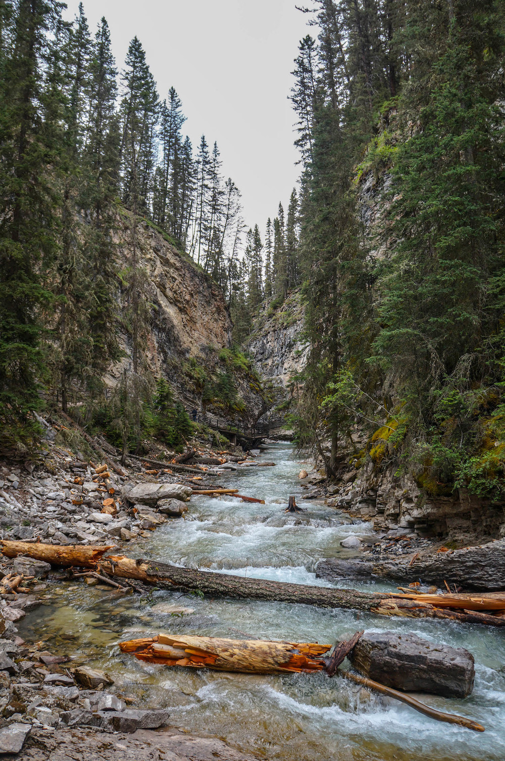  Johnston Canyon 