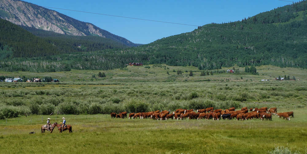 colorado6.jpg