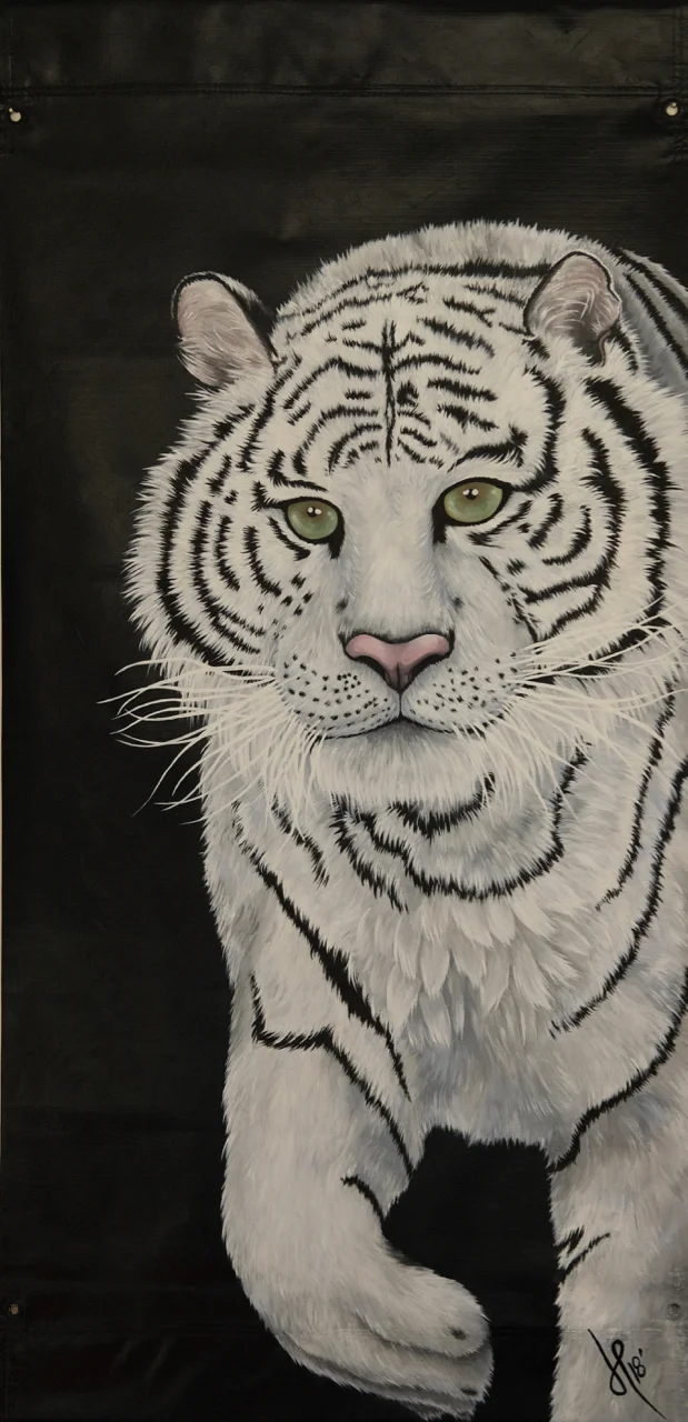 By Jennifer Perry