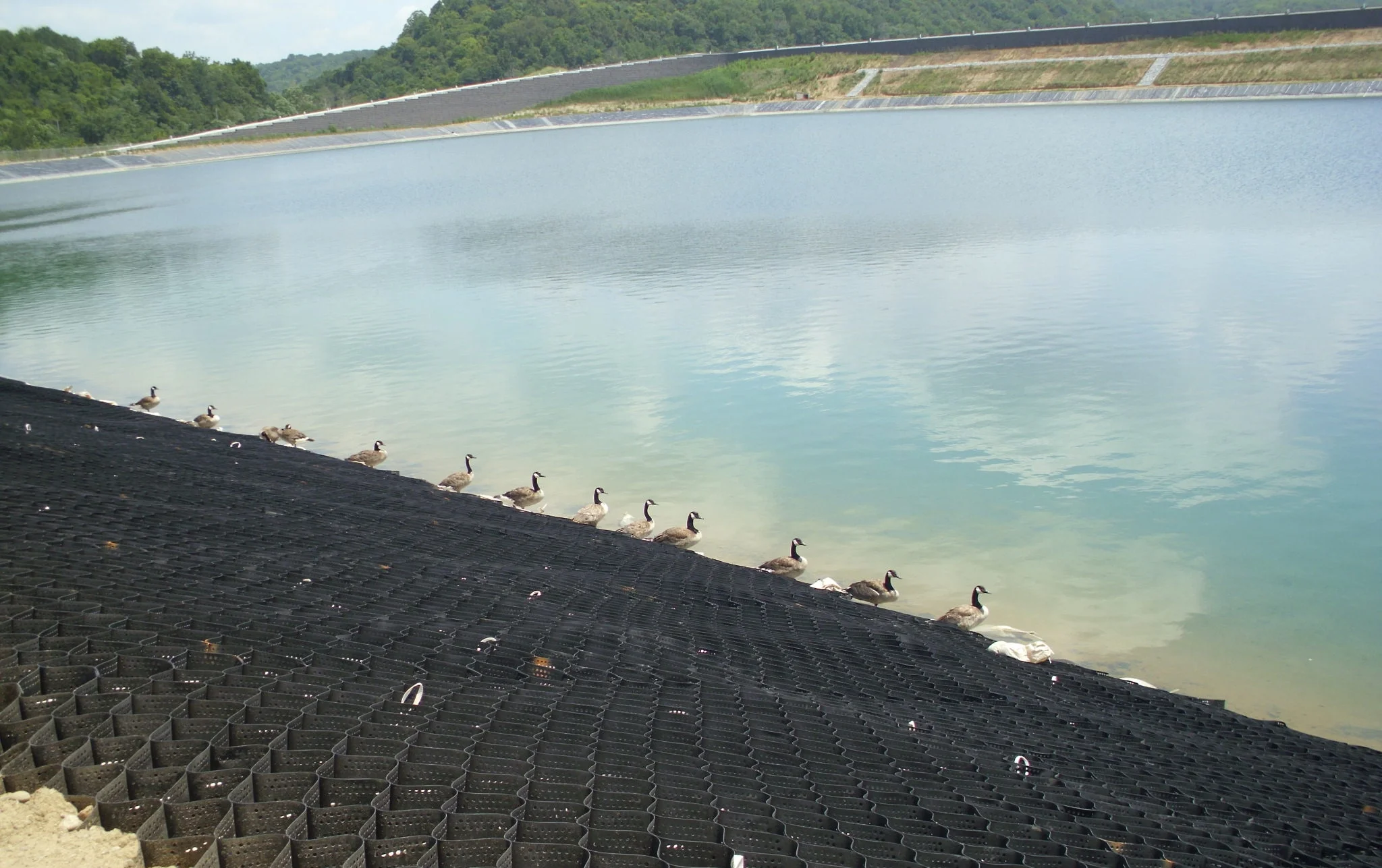 Geoweb Wave Protection