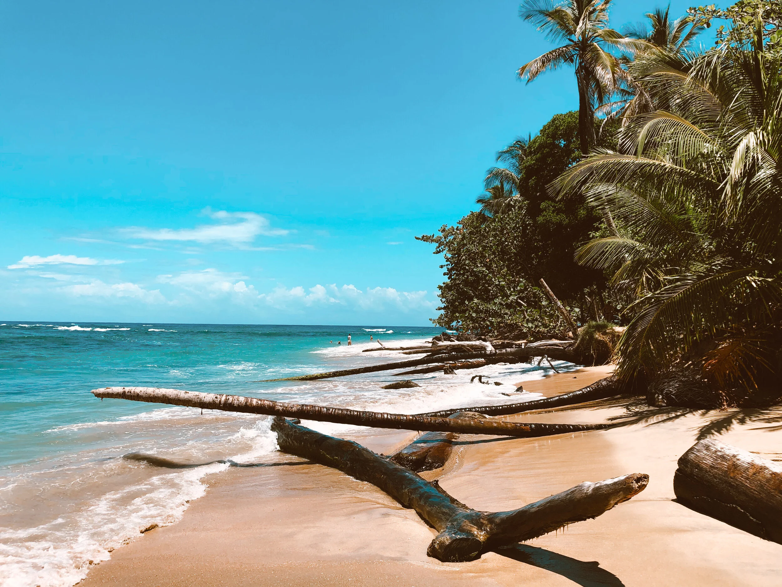Getting Still During Crisis: A Guided Meditation