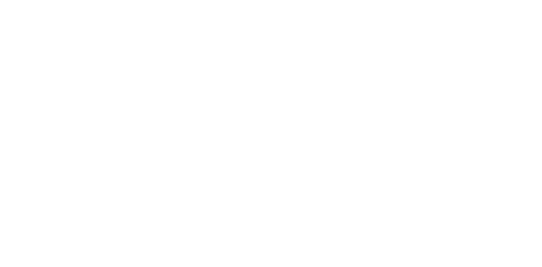 sf-brand-logo (1).png