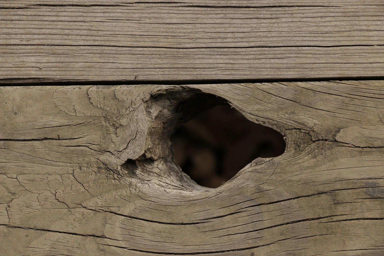BoardHoleBanner_6427.jpg
