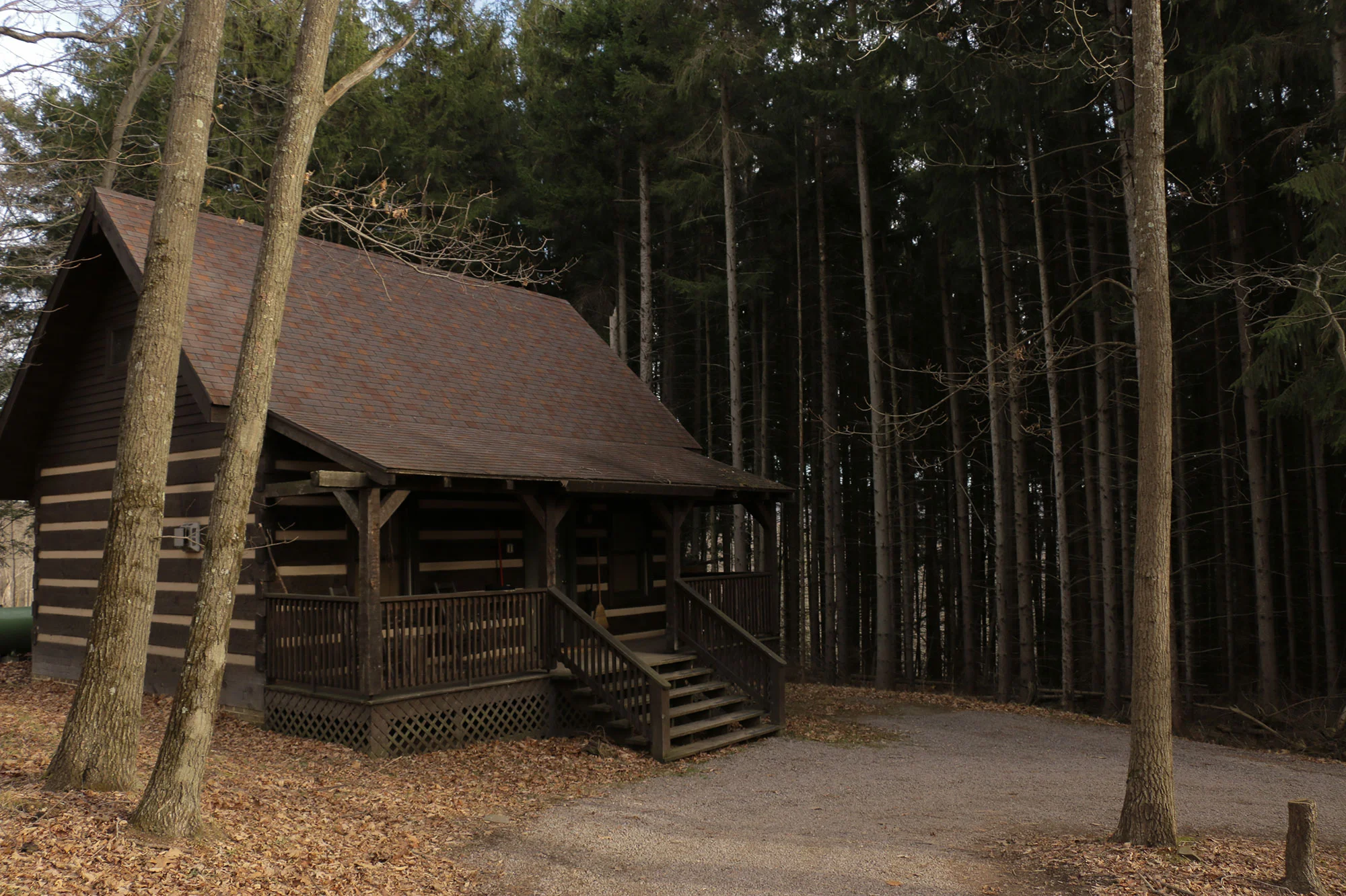 Cabins — Savage River Lodge