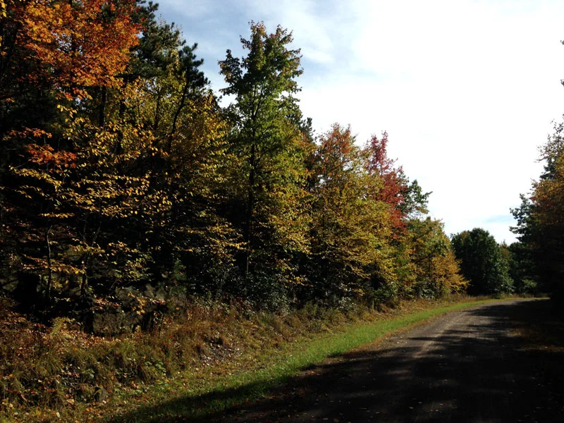 a-fall-day-on-the-gap-7.jpg
