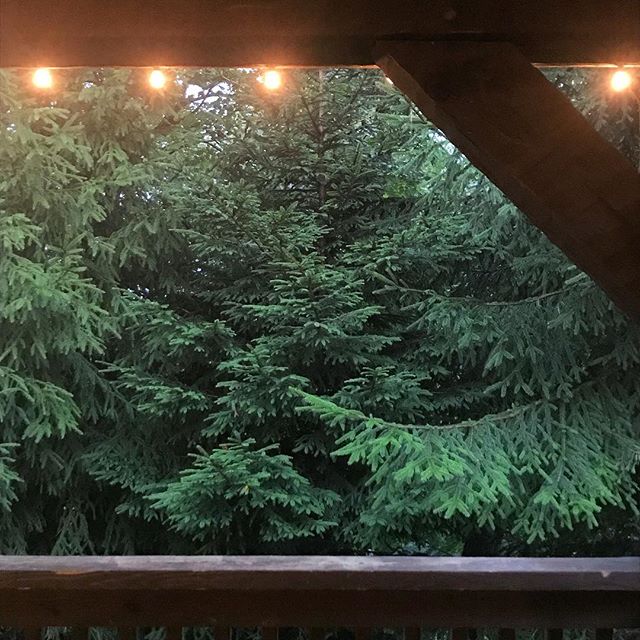 Glow on ✨
.
.
.
#magicforest #deckglow #evergreen #inthepines #intothewoods #dinnerwithaview #mountainmagic #savageriverlodge