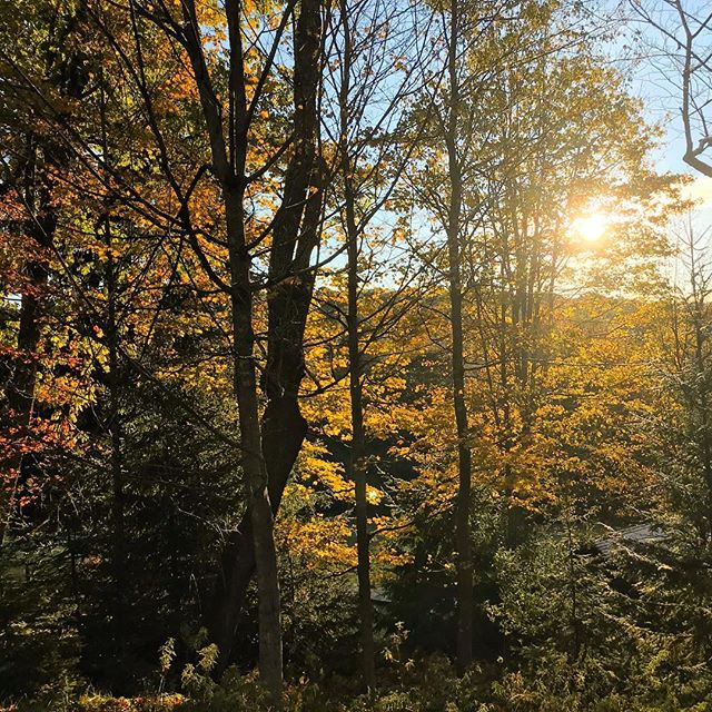 Morning glow kaleidoscope ☀️
#glowon #mondaymorning #savageriverlodge