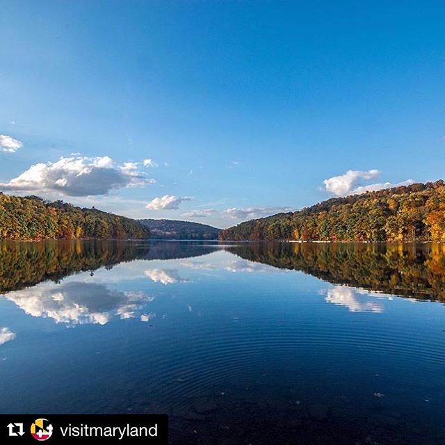 Happy Autumn Glory weekend! 🍃🍂🍁
&mdash;
#repost @visitmaryland
・・・
Don't miss the vibrant fall colors! Head to #WesternMaryland for the annual Autumn Glory Festival, Oct 10-14! 🍁🍂🍃 ( 📷 @raileyrealty ) #MDinFocus #GarrettCounty #VisitMaryland #