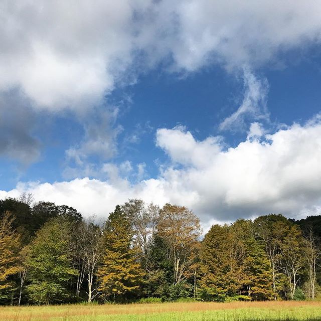 The color watch is on! 🌿🌳🌲🍃🍂🌾🍁🍁
#october #mountainmaryland #savageriverlodge