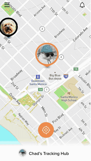 Fynd Tracking Hub 10.27.gif
