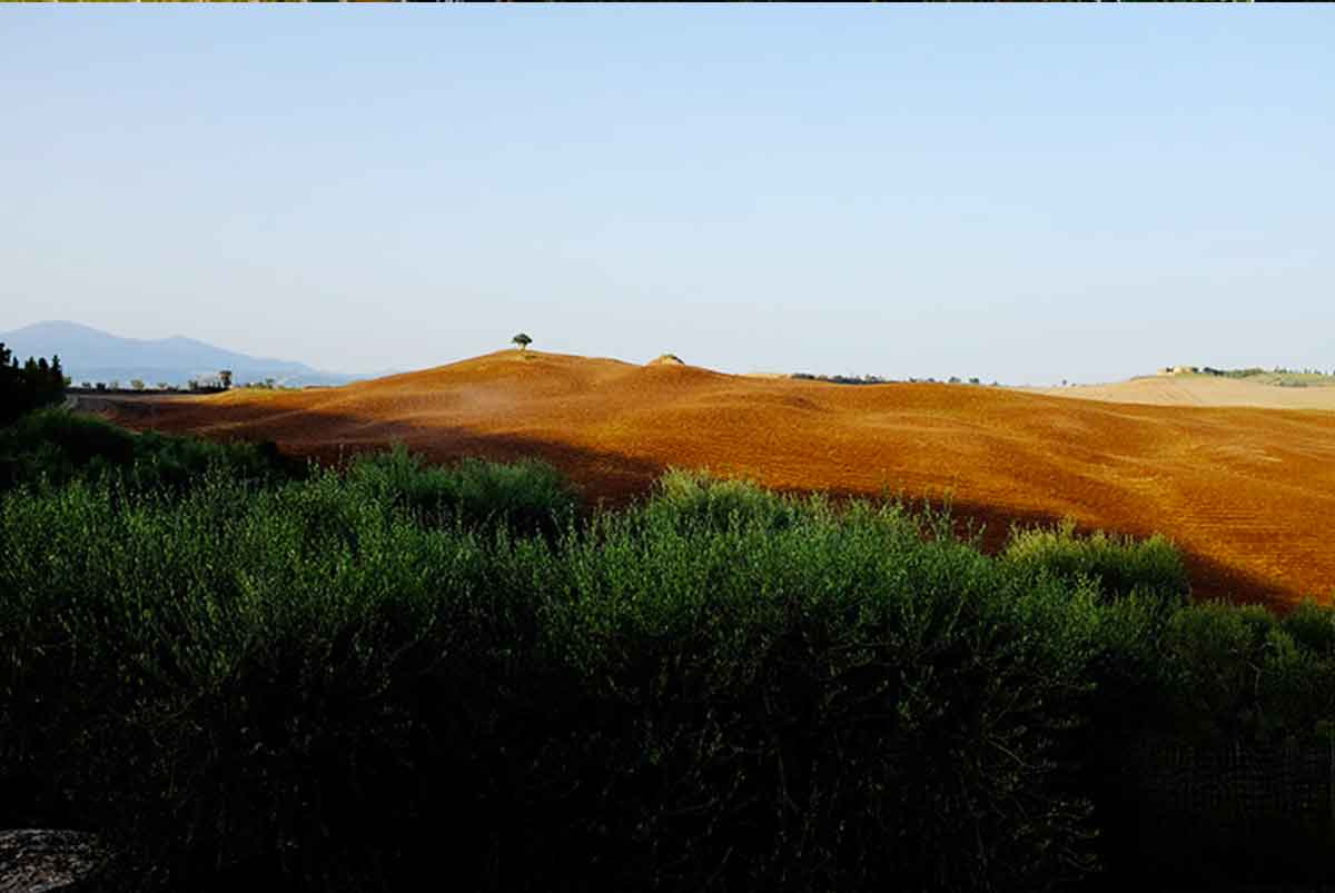 agriturimo_podere_spedalone_chi_siamo_8.jpg