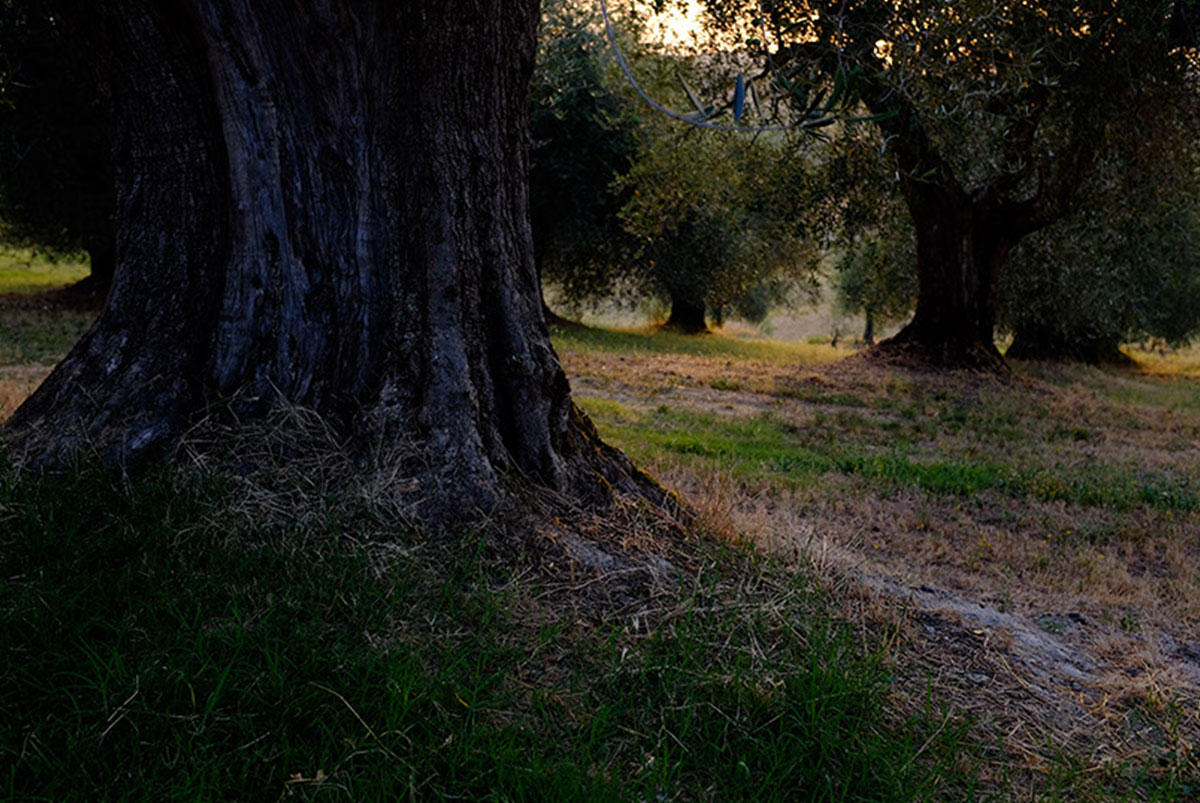 relax-Podere-Spedalone11.jpg