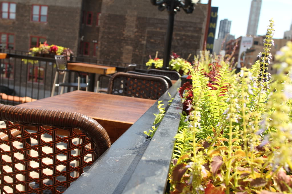 Rooftop