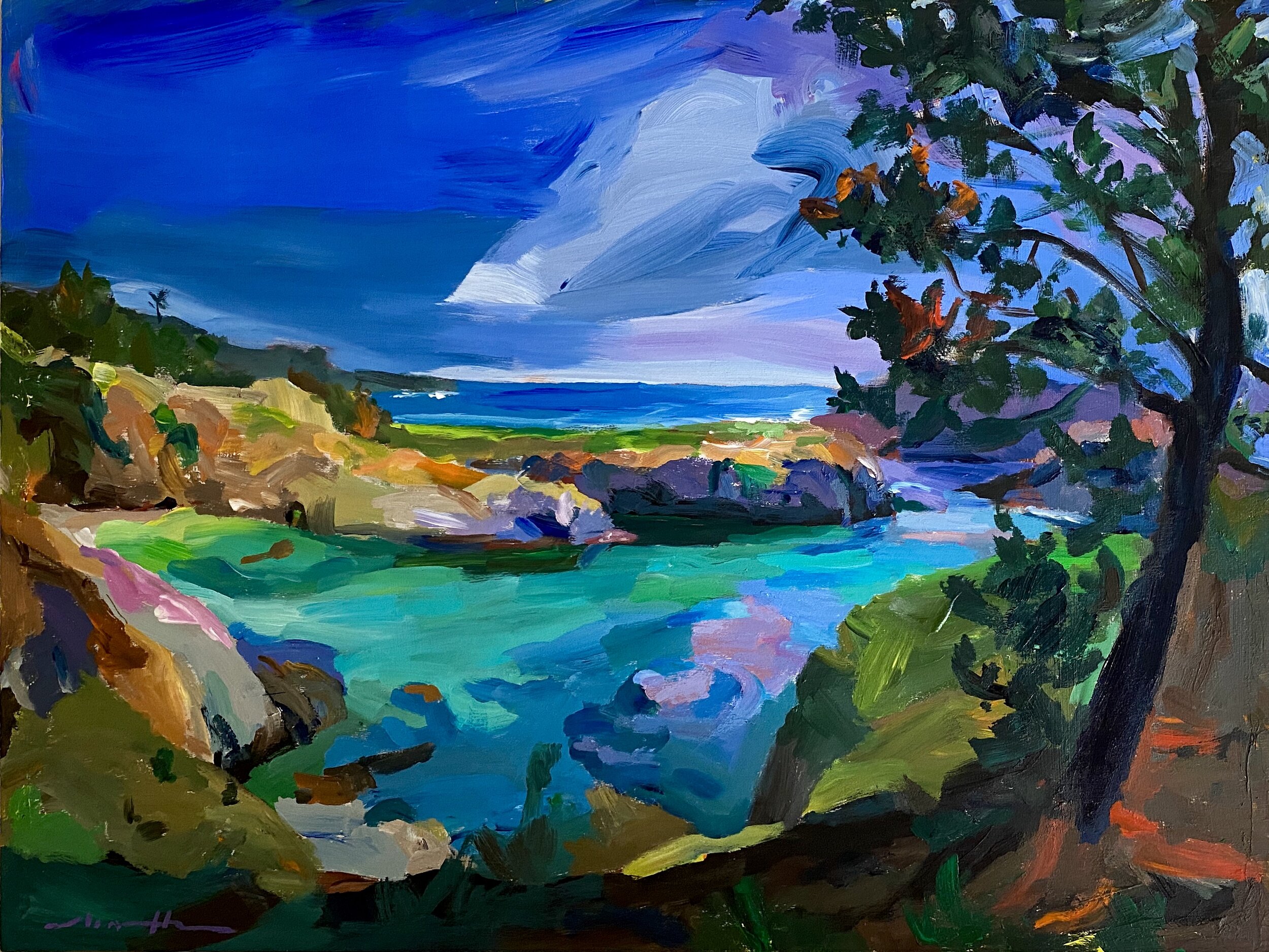 Carmel Cove