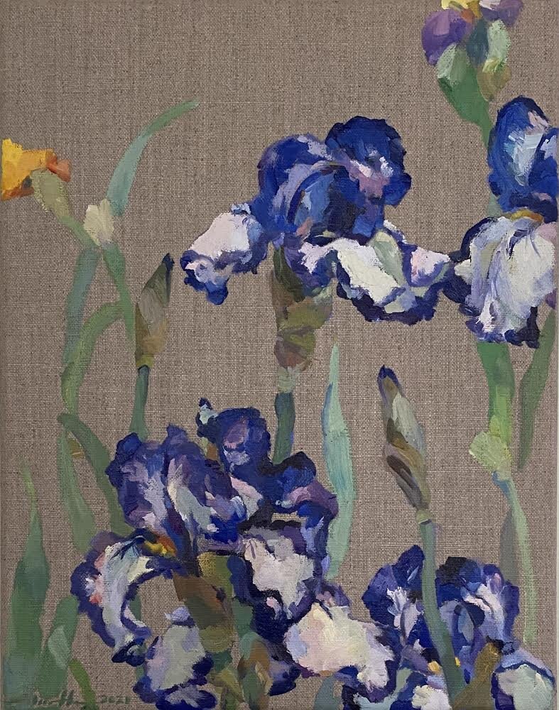 Irises (Brown Lasso and Stepping Out)