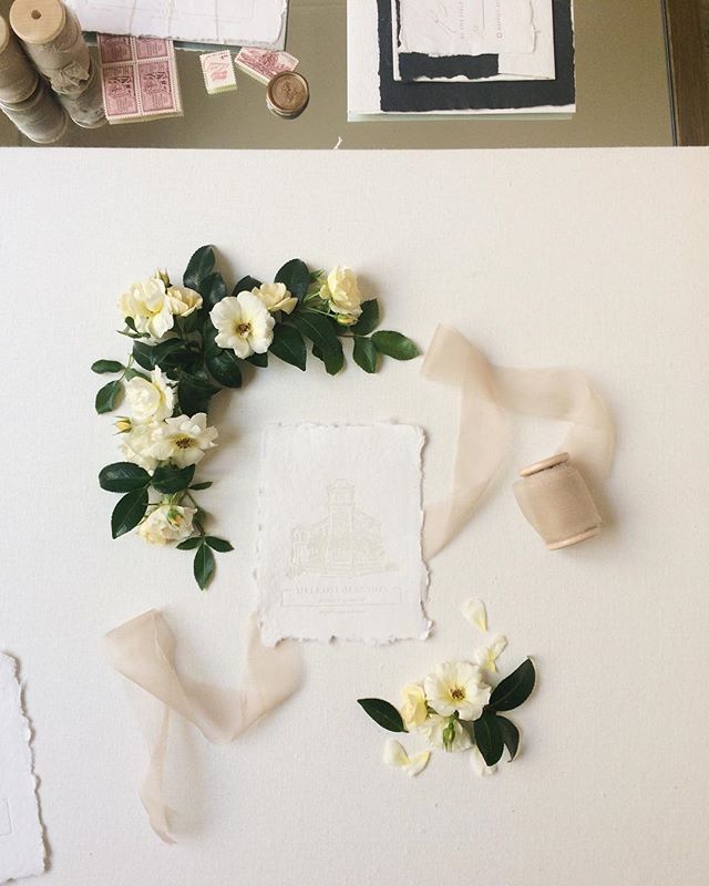 Playing with garden clippings and composition. ⠀⠀⠀⠀⠀⠀⠀⠀⠀
Stationary by @thelittlebluechair
Art Direction and Film Photography by @greergattuso
Ribbon @froufrouchic
