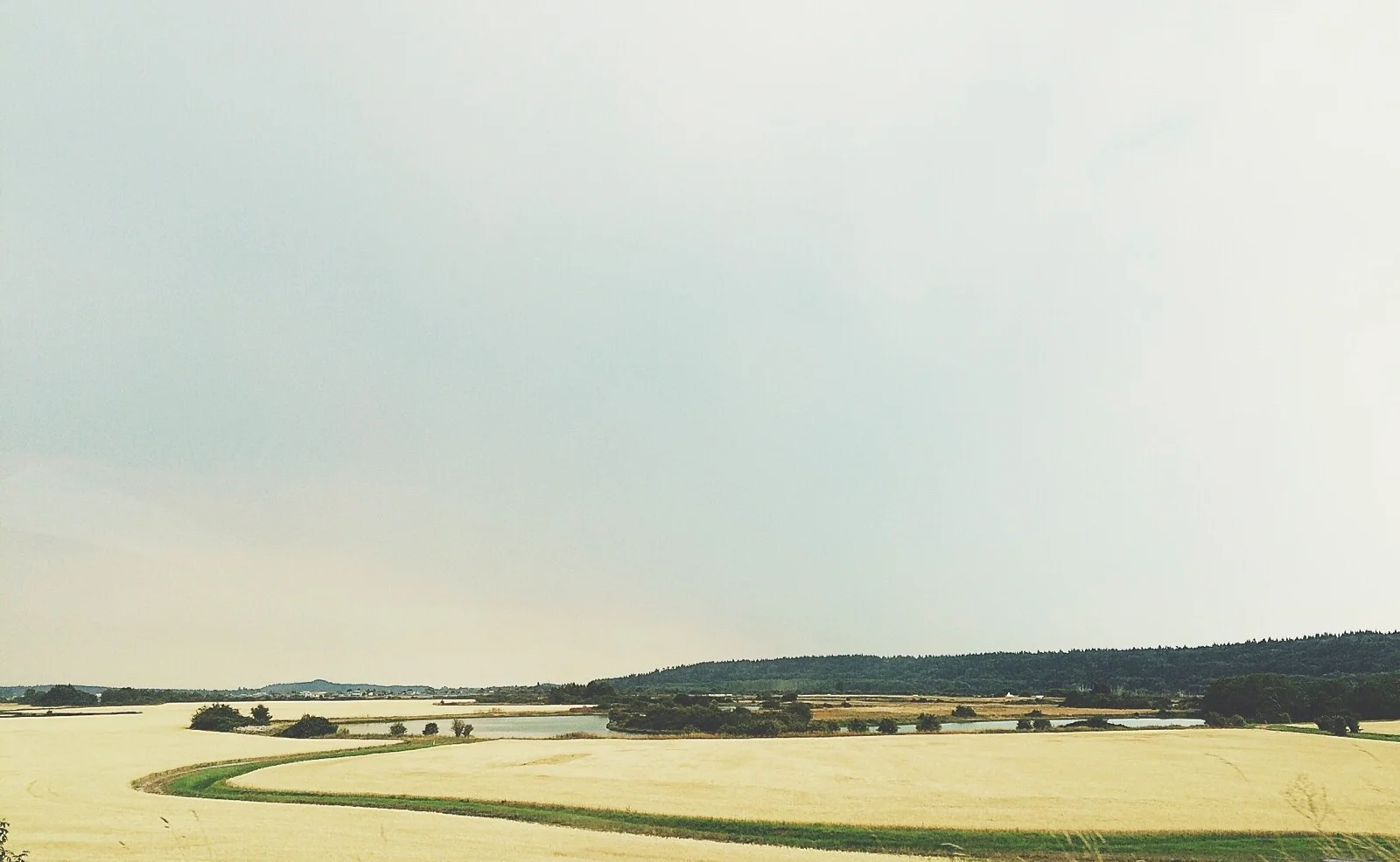 9C6CA816-4F94-46C2-BC49-2F76AA34A342.jpeg