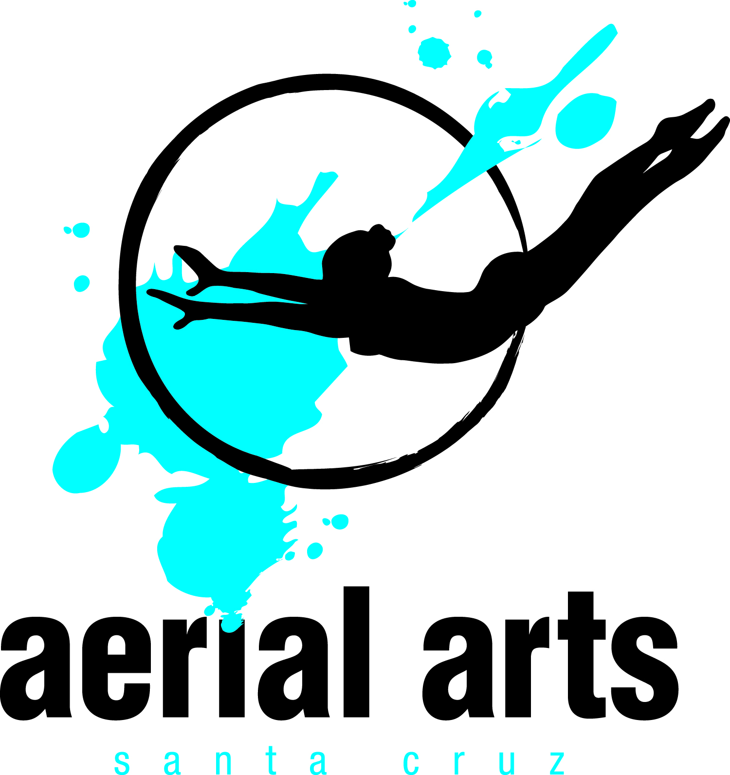 AerialArts.jpg