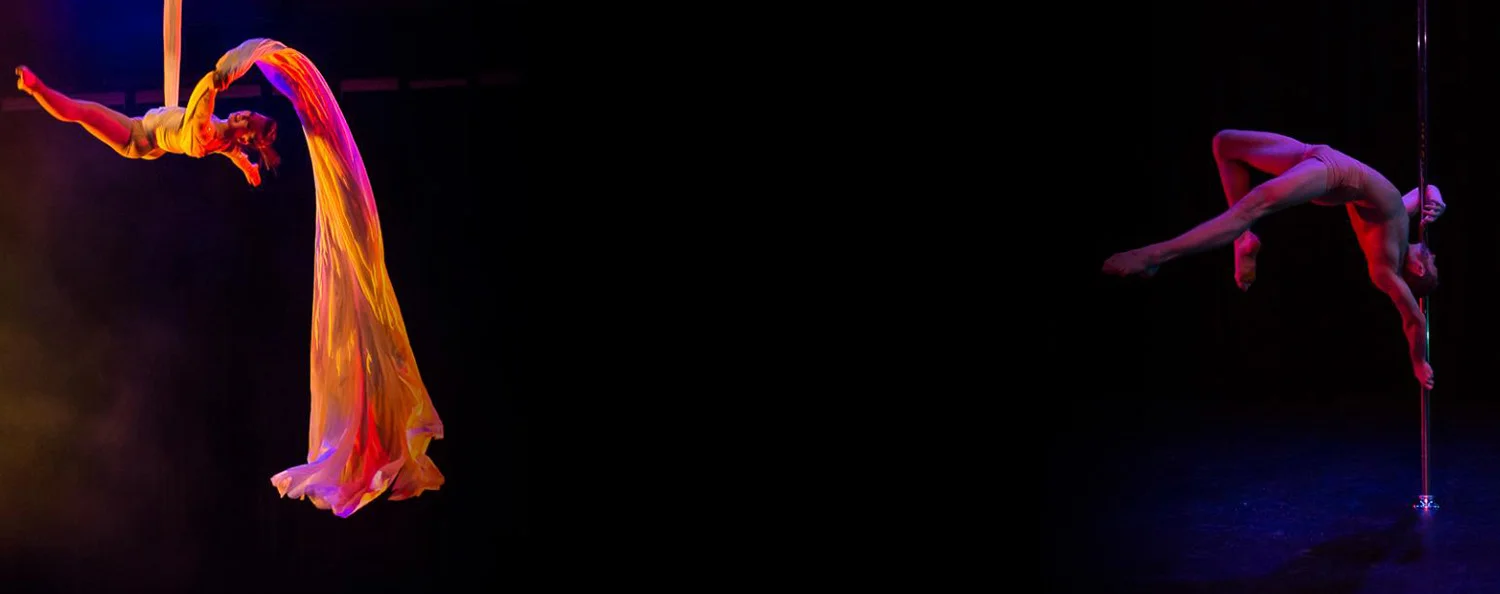 2016Banner_RobertDianna.jpg