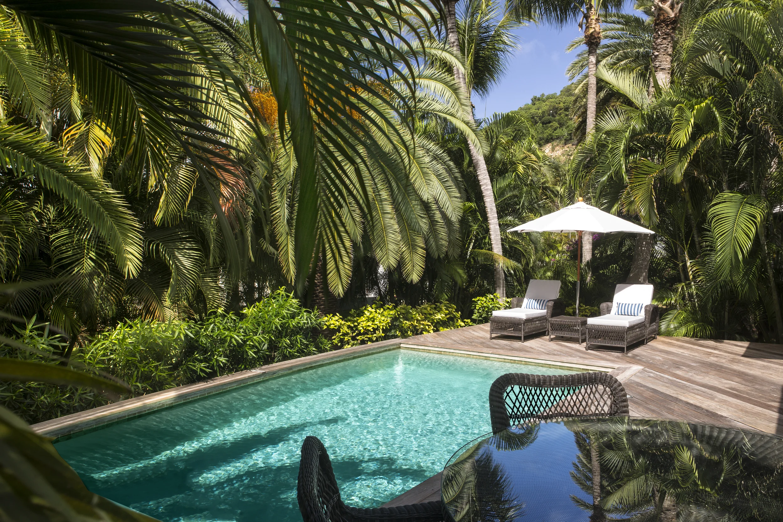 © SCandito Tropical Suite Pool.jpg