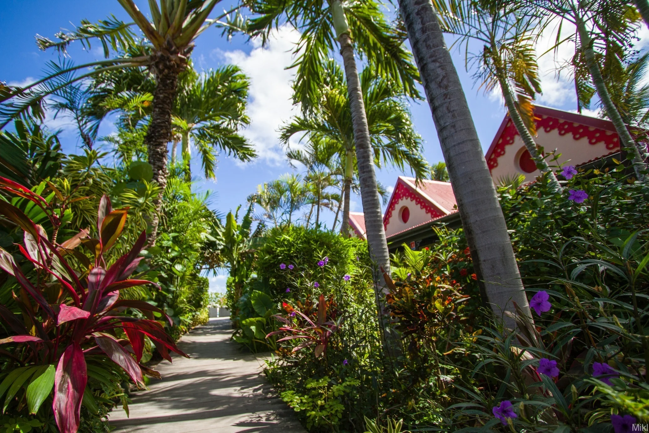 Hotel Tropical Garden 2.jpg