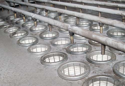 Filtercorp cages &amp; filter bags fitted inside cell plate.