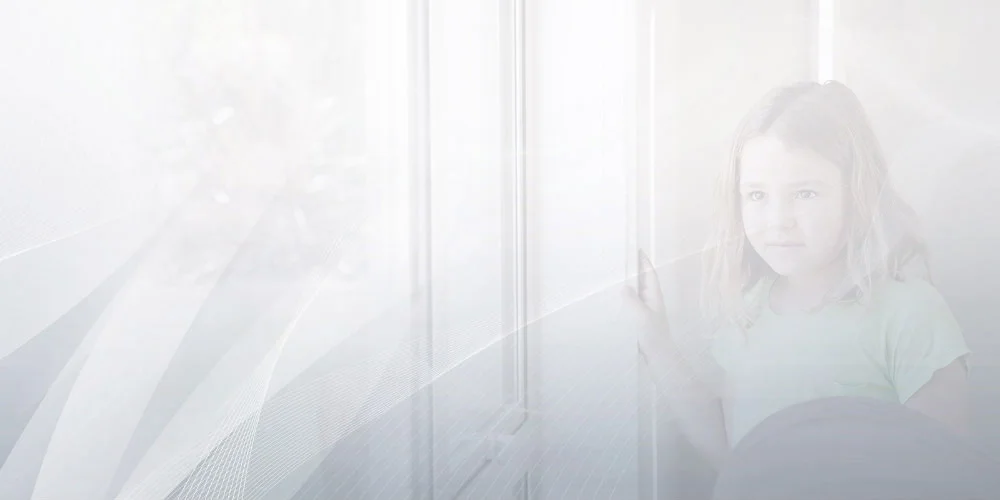 HFS-Banner.jpg