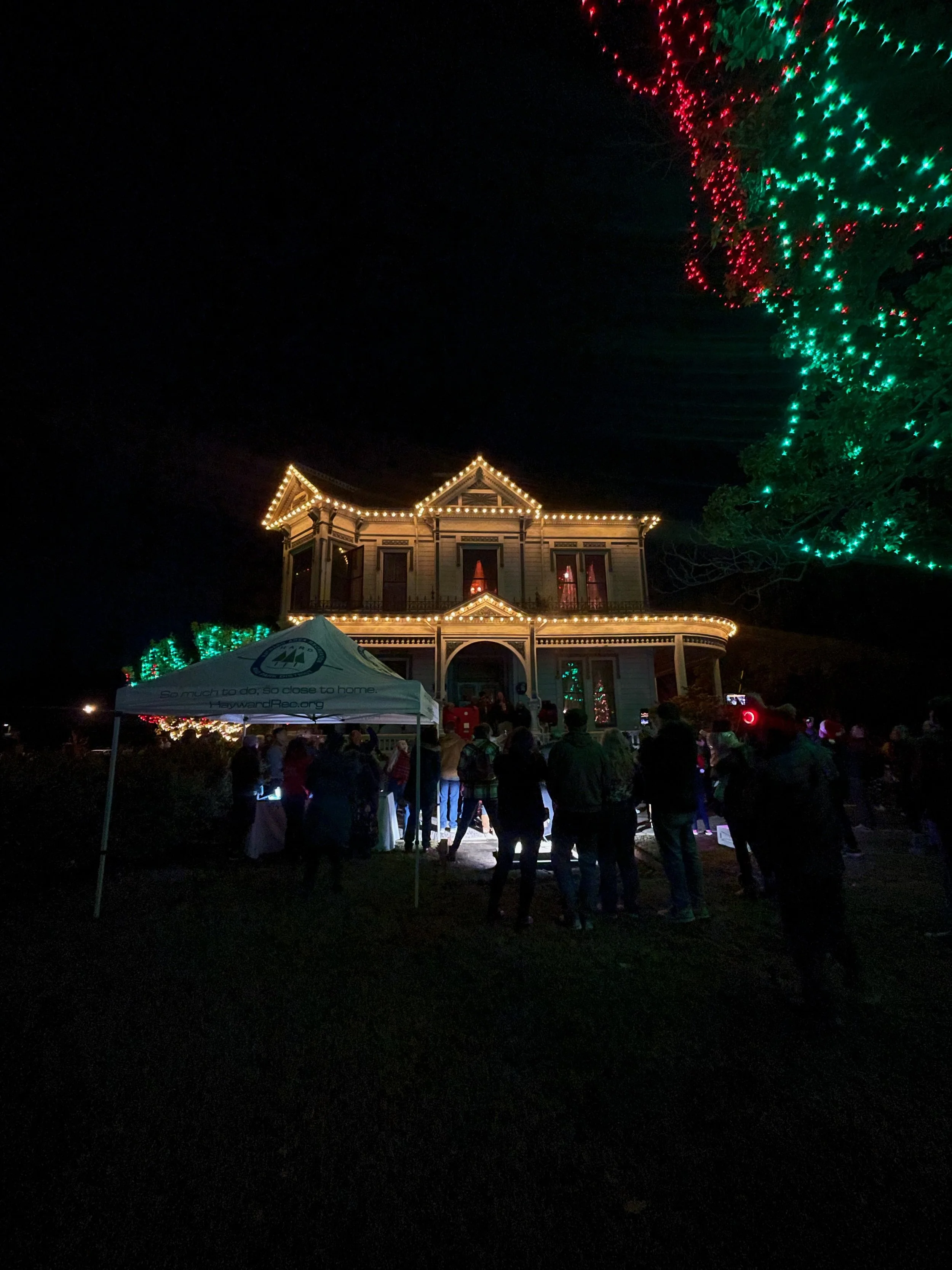 Holiday Lights at McConaghy House