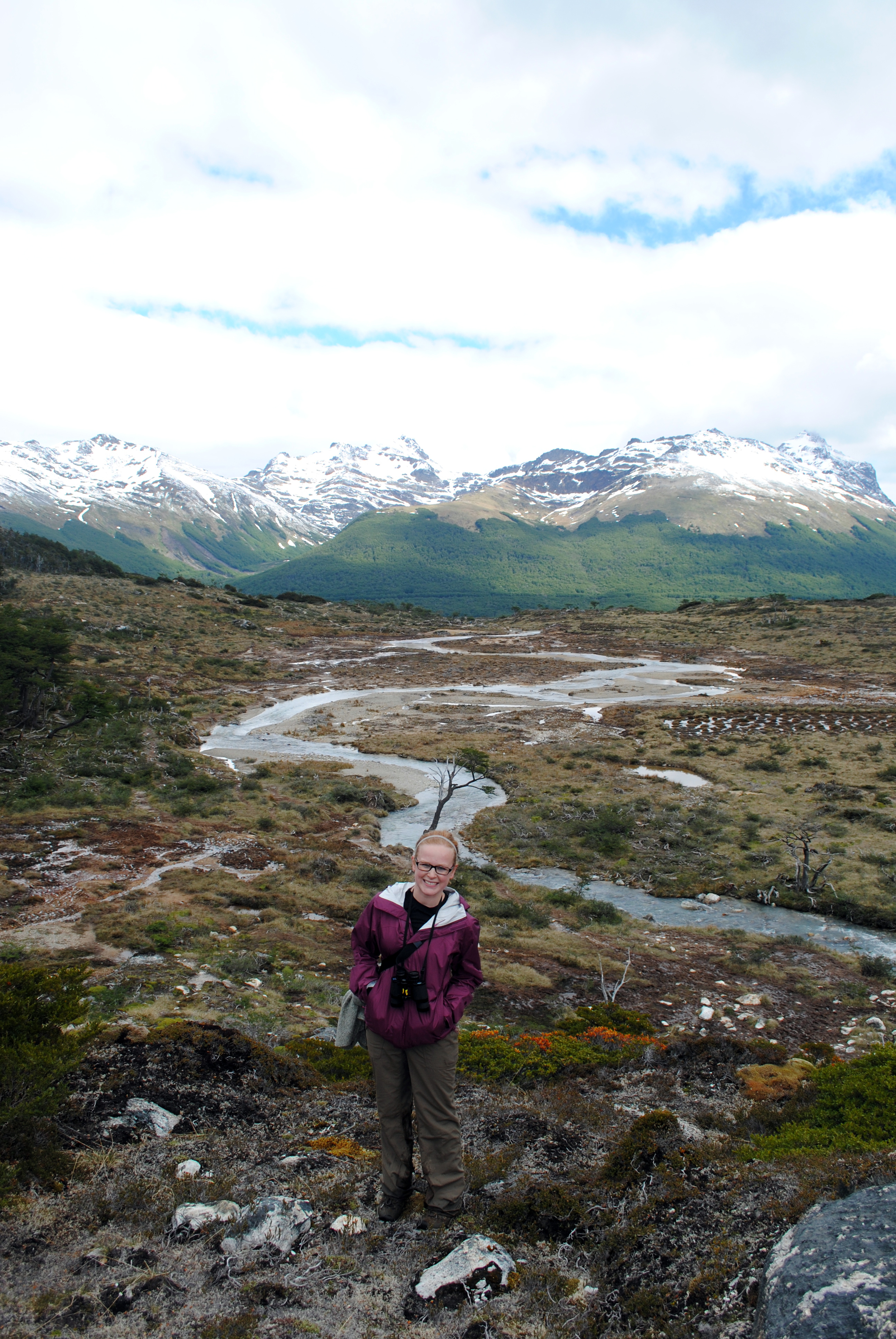 Andes Mountains, Tierra Del Fuego, Ushuaia, Argentina - Maggie a la Mode