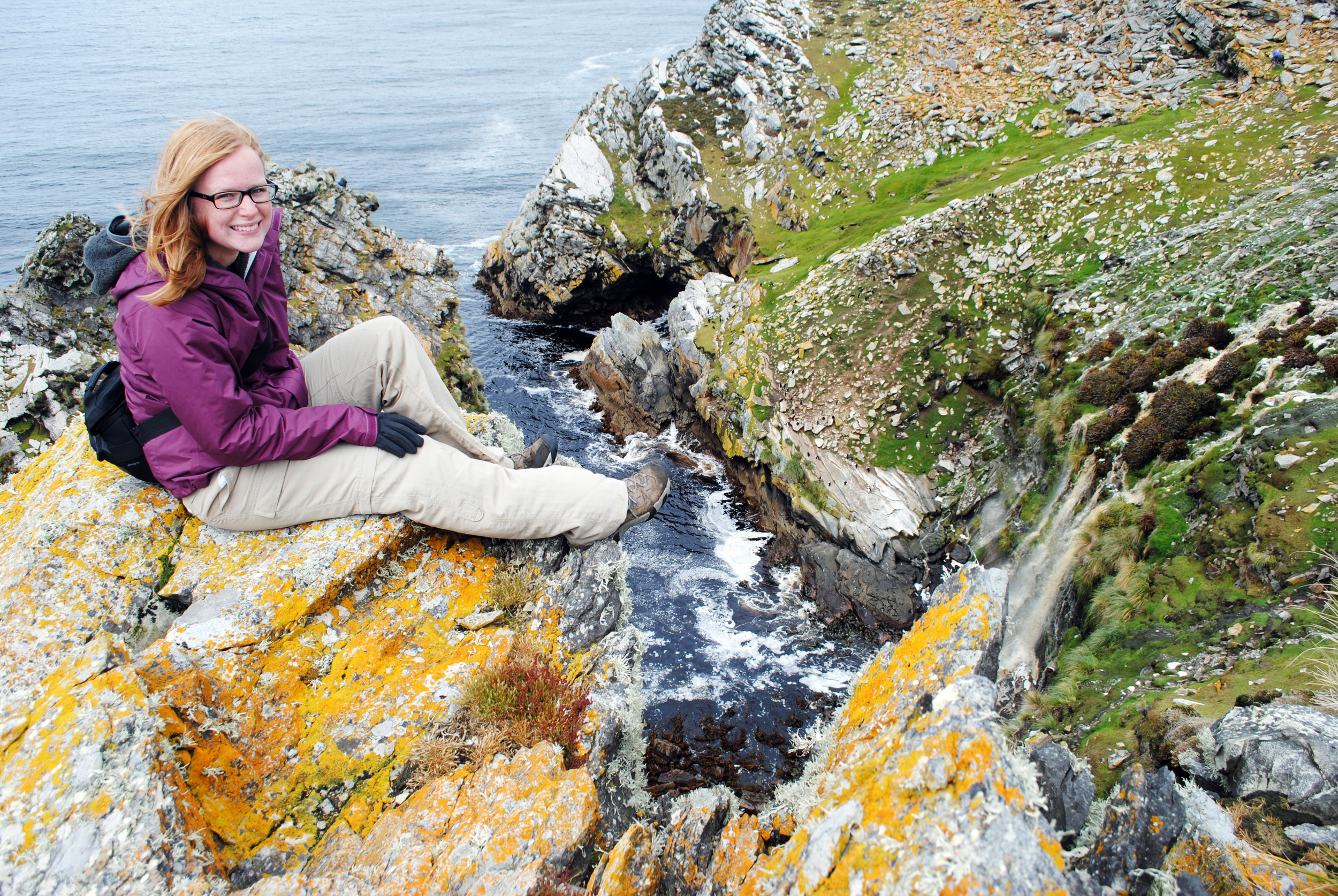 Falkland Islands, Kidney Point - Maggie a la Mode