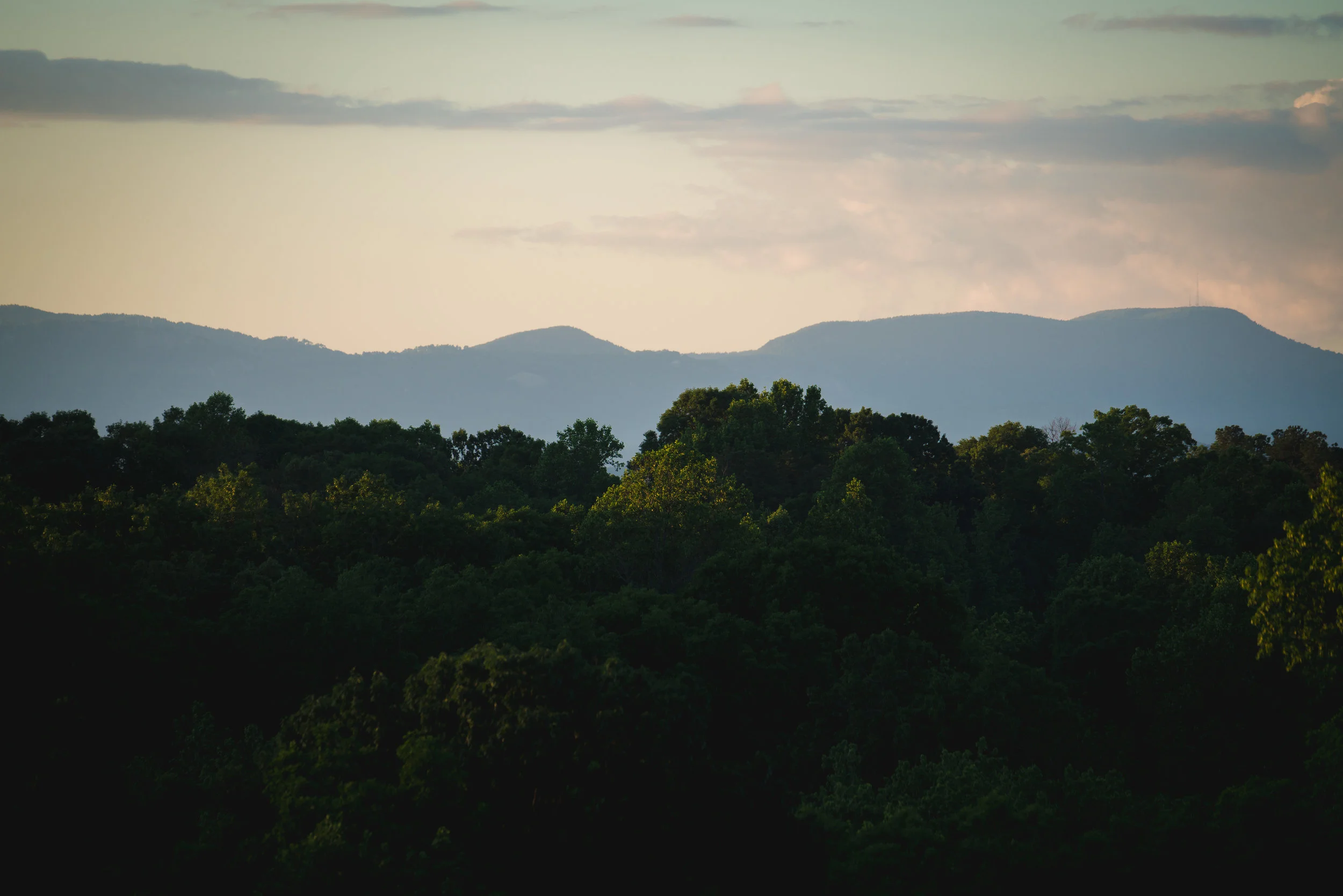 Wedding | Viewpoint at Buckhorn Creek in Greenville, SC