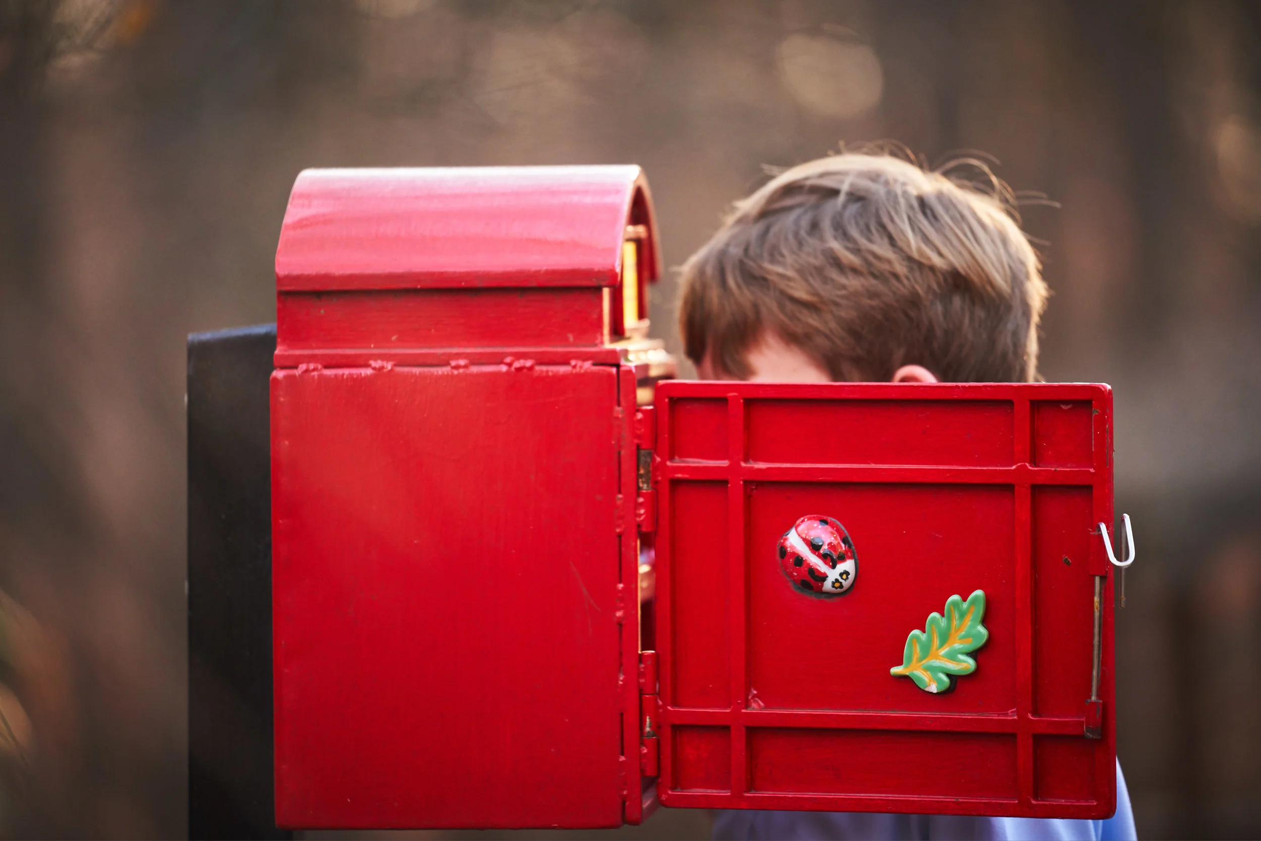 Boy looking in box | Family Photo Session in Clemson SC