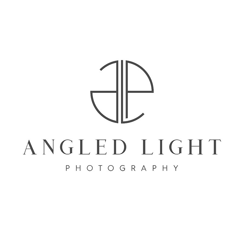 ALP Gray transparent background square 3000 copy copy.jpg