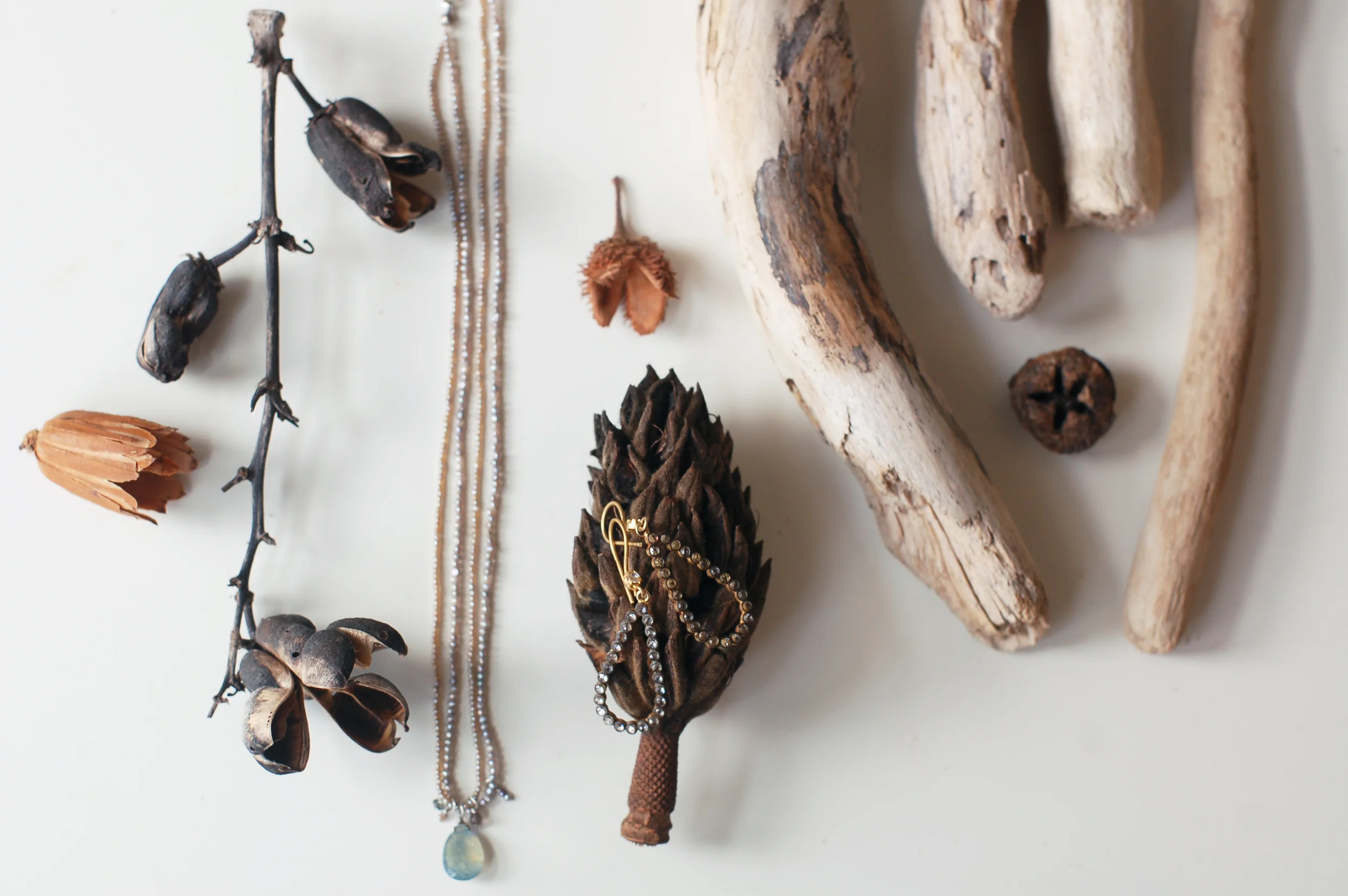 The relationship between Jewelry and nature. Sourcing, styling and photography: Joanna Feldheim