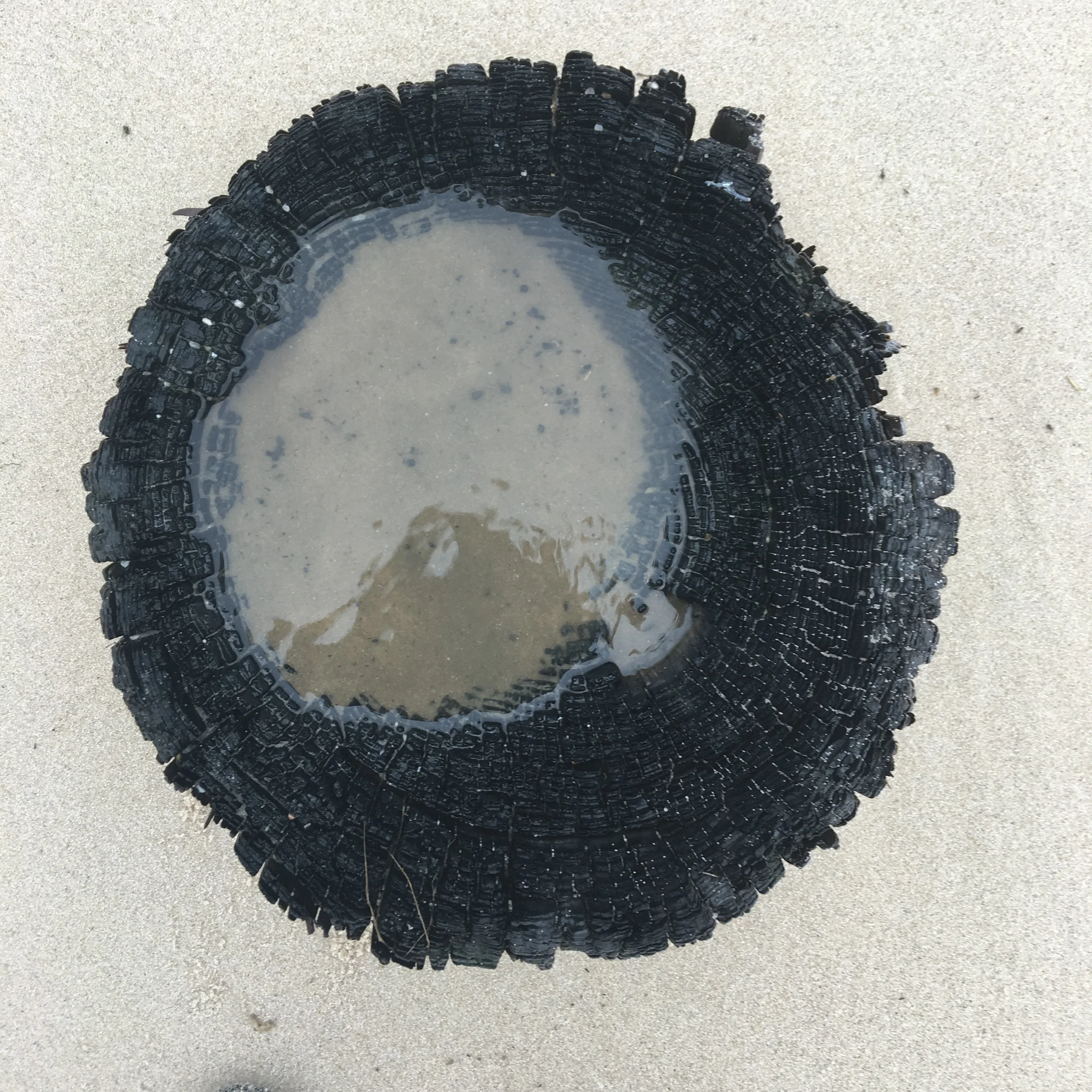 image6.jpeg