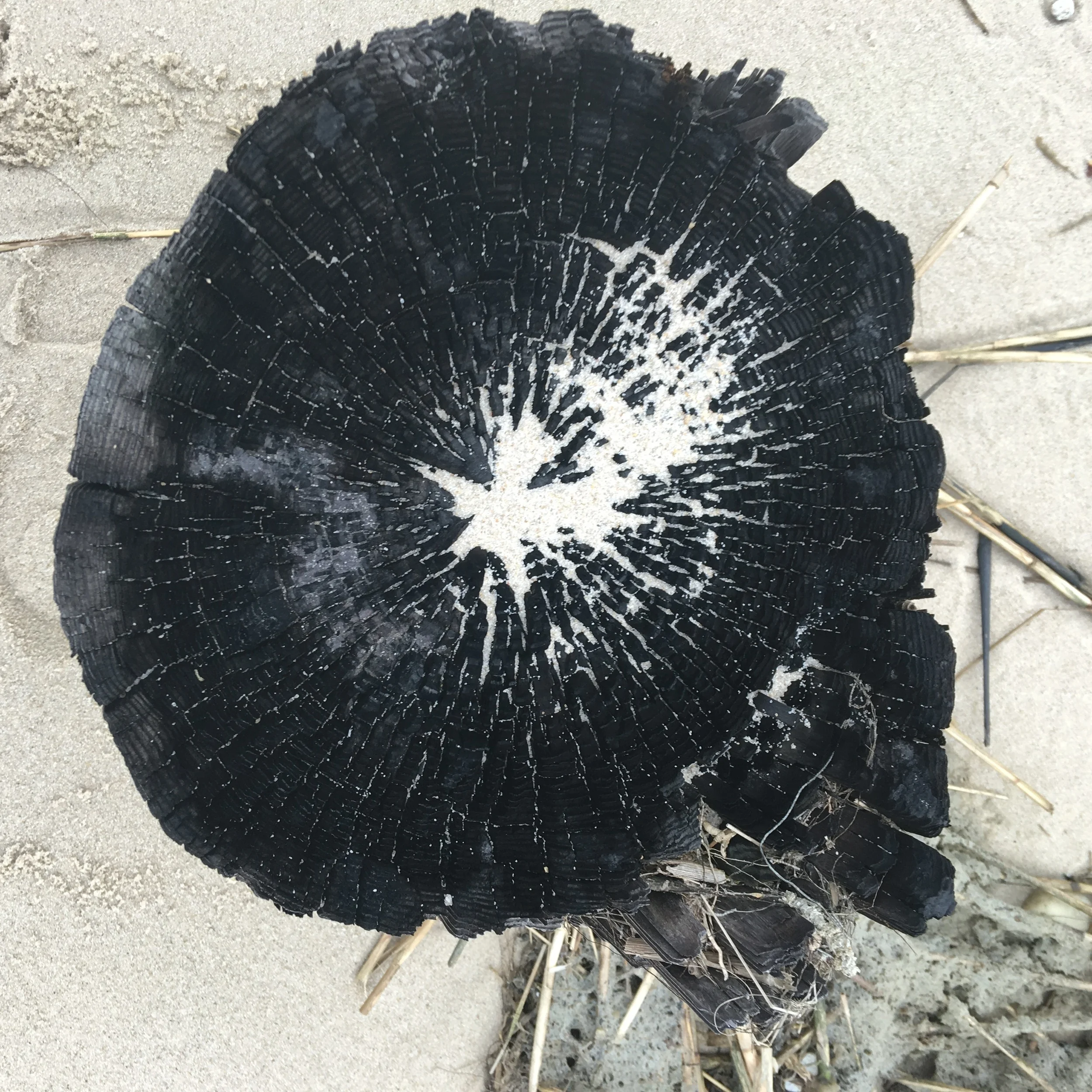 image8.jpeg