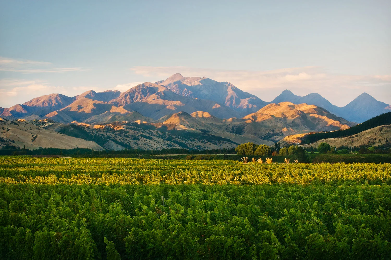 History of Land Management & Administration