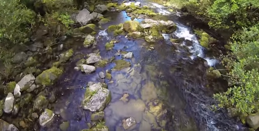 Reflecting on the year - 2015 Wakatū AGM 