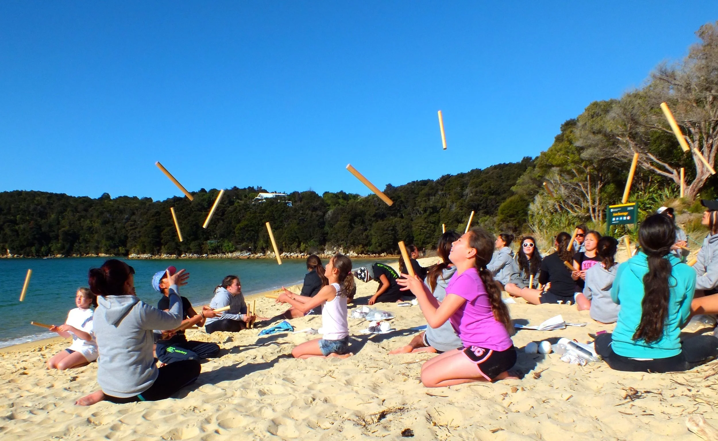 Introducing Te Hunga Pānuku