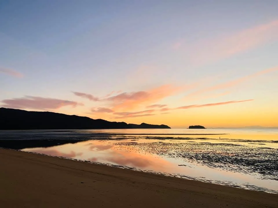 Update from Paul Morgan, Wakatū Chair - 17 April 2020