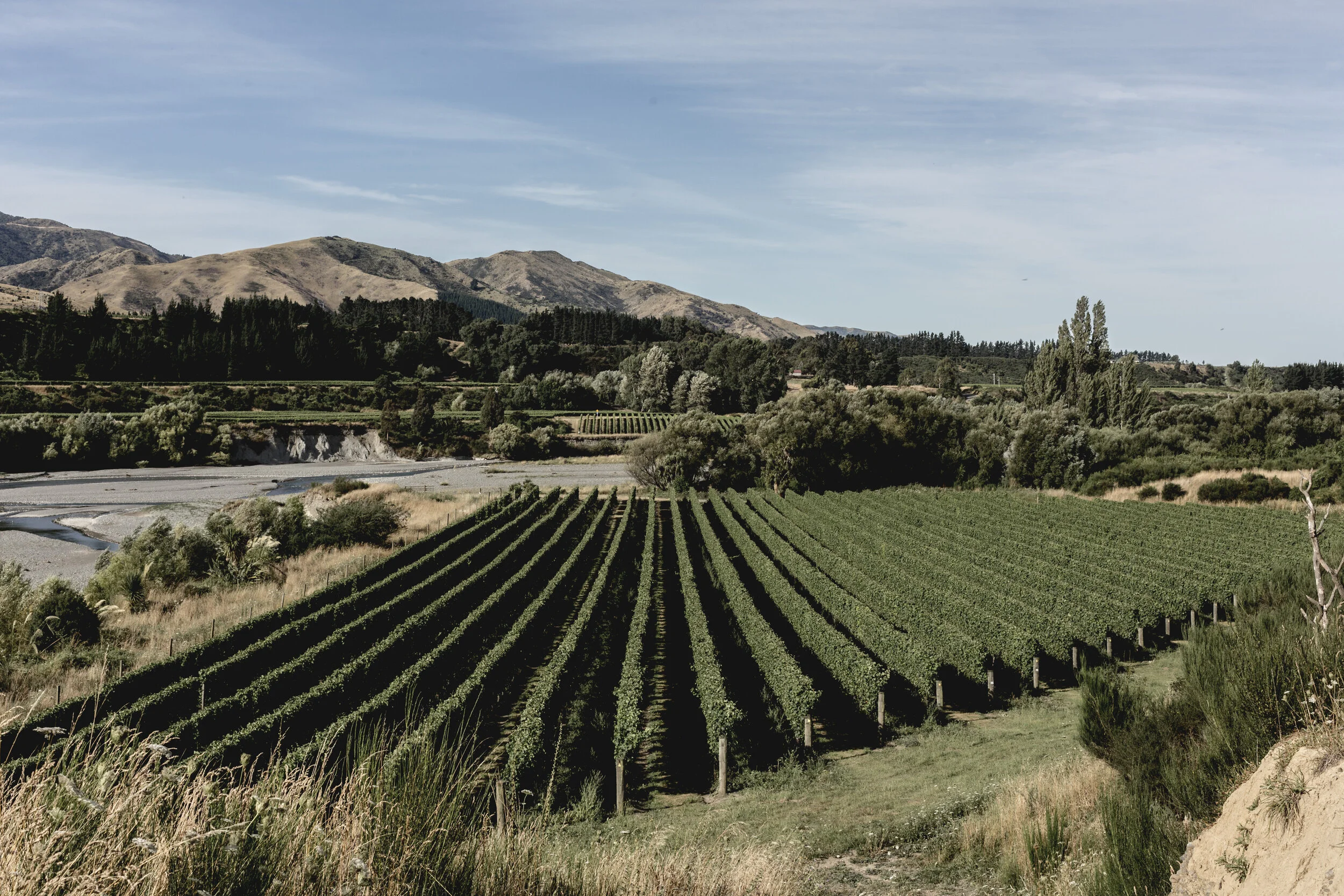 1-Tohu-Hero-Vineyard-WhenuaAwa015-color.jpg