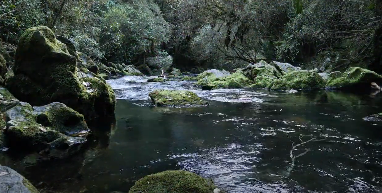 Te Pae Tawhiti - the values and aspirations of our tūpuna