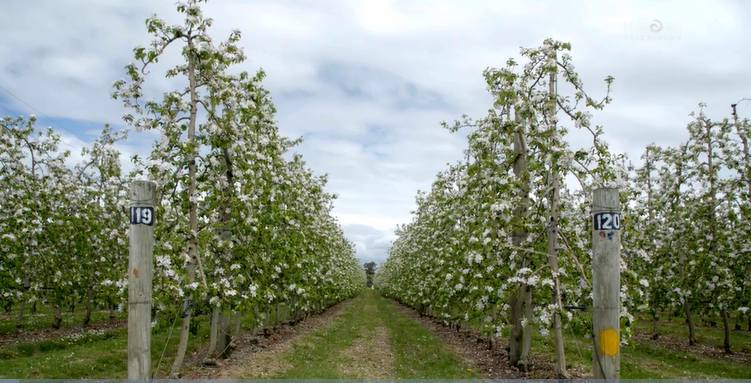 Kono features on Home, Land and Sea