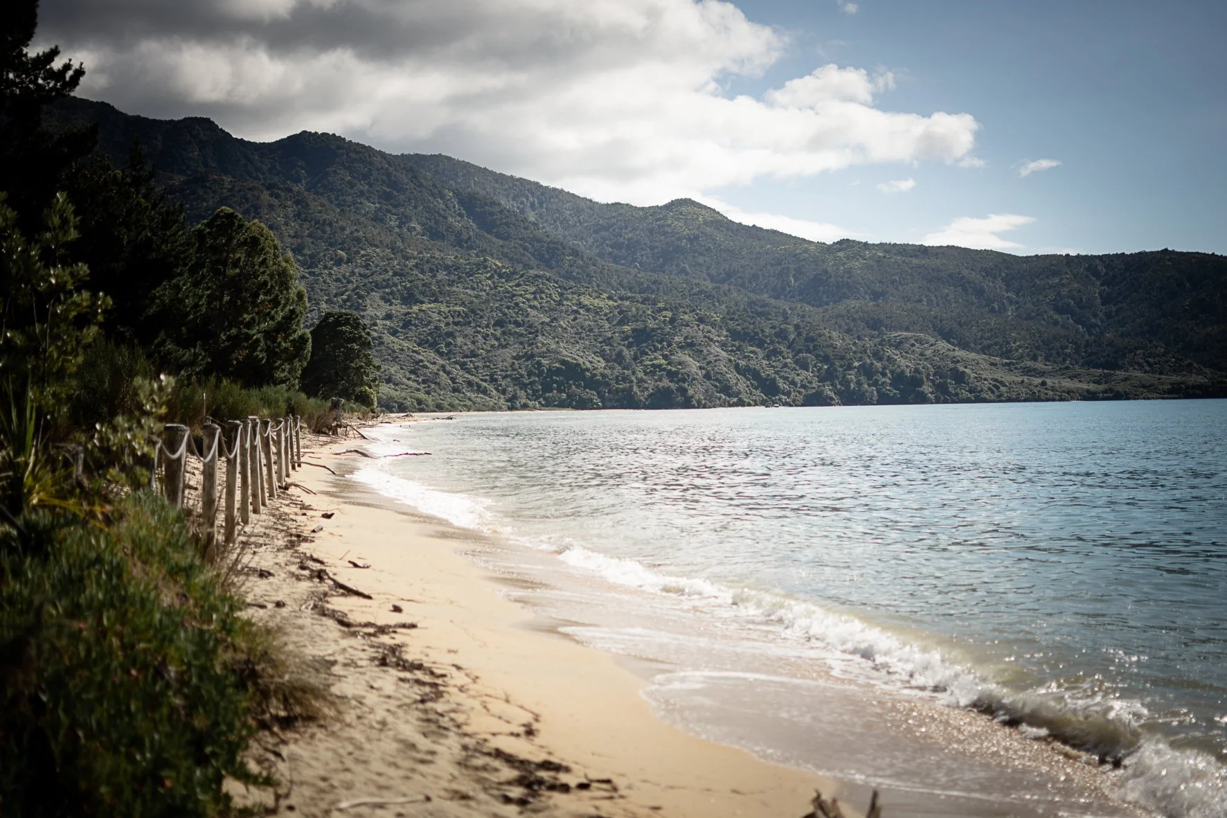 Mārahau Camping Summer 2024-2025
