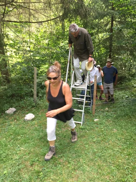 2015-08-11 12.21.26.jpg